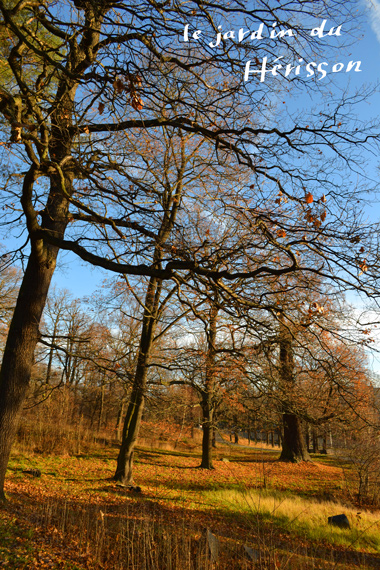 blig20141001.jpg
