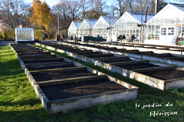blog20141001-2.jpg