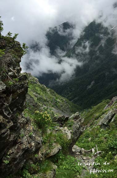 北岳 岩場2.jpg