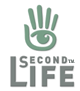 セカンドライフ second life