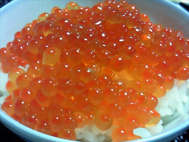 いくら ご飯