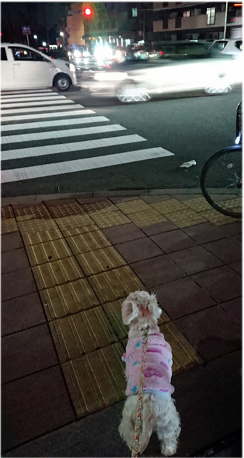 n1.jpg