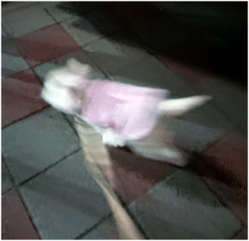 n5.jpg