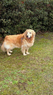 2011120600150000.jpg