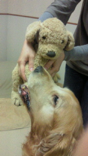 2011120222100000.jpg
