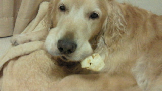 2011120600170000.jpg