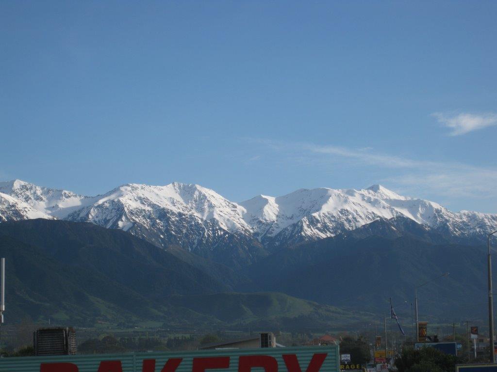IMG_0652.jpg