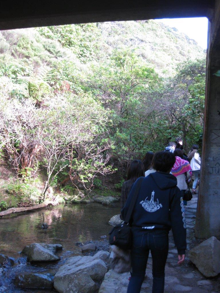 IMG_0660.jpg