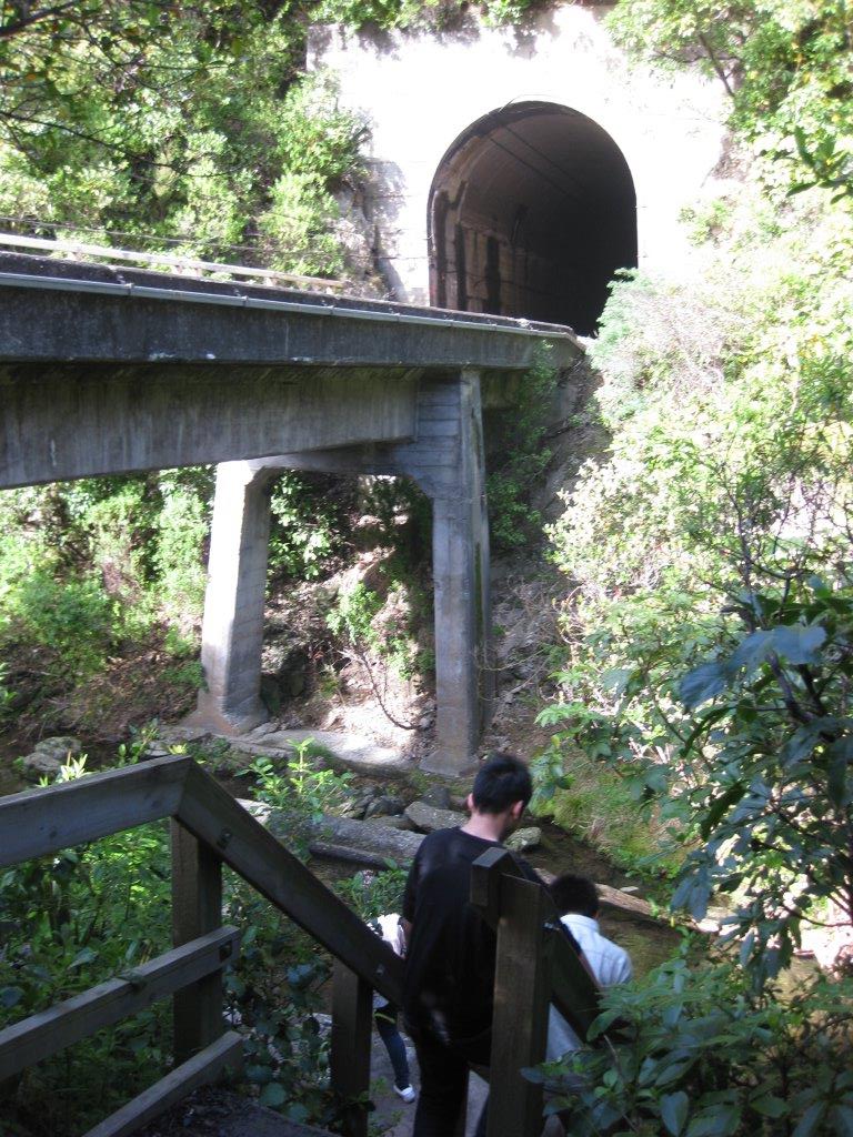 IMG_0675.jpg