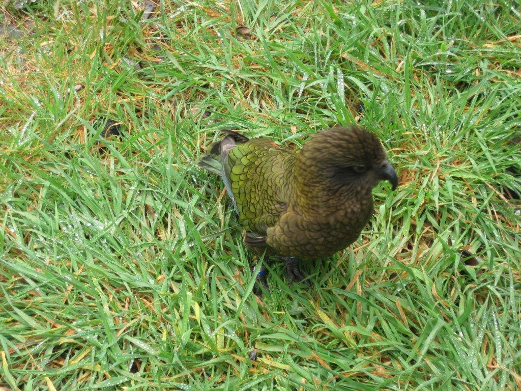 IMG_0841.jpg