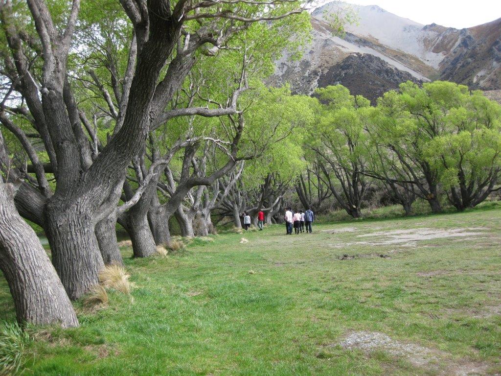 IMG_0865.jpg