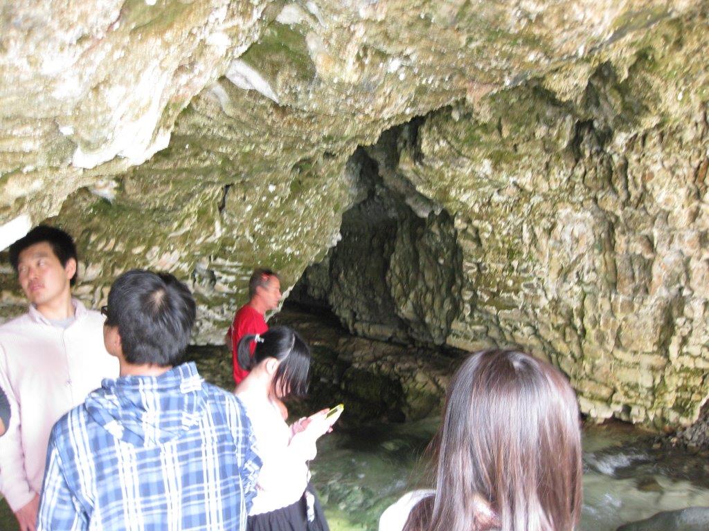 IMG_0894.jpg