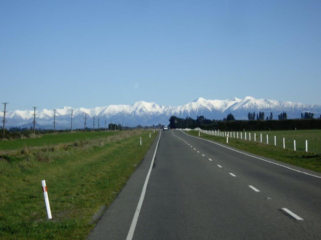 IMGP2042.jpg