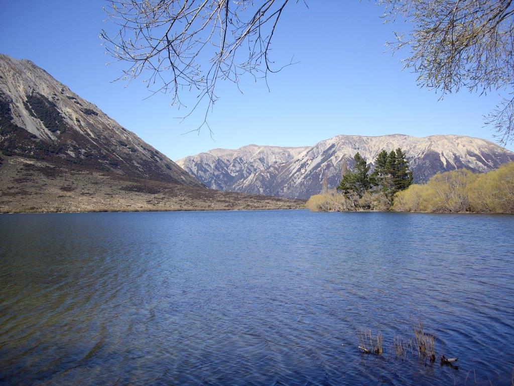 IMGP2082.jpg