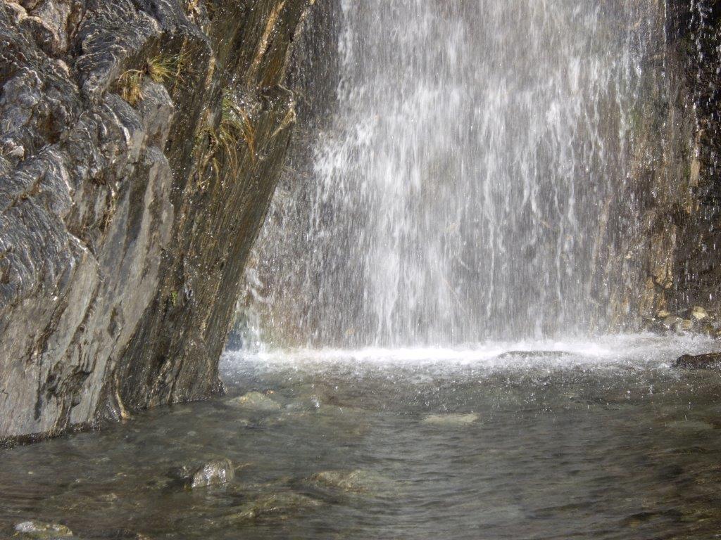 IMGP2199.jpg