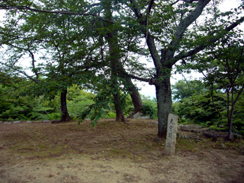 松阪城天守