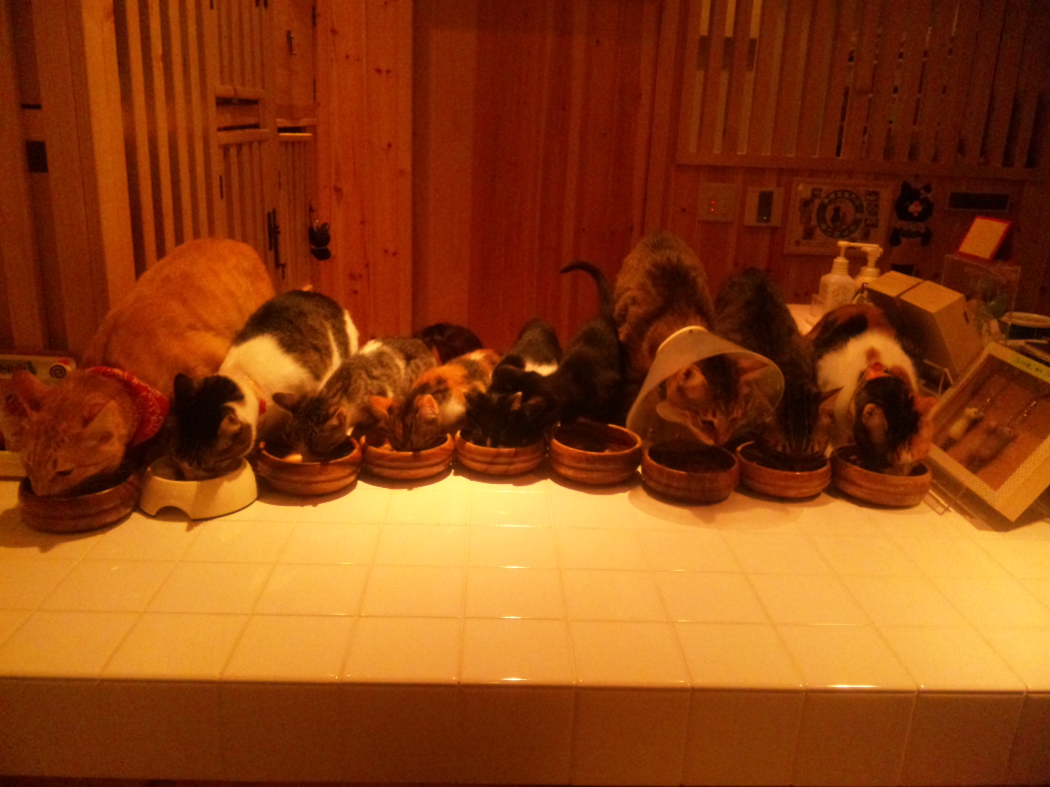 120621_201420.jpg