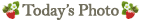 627.gif