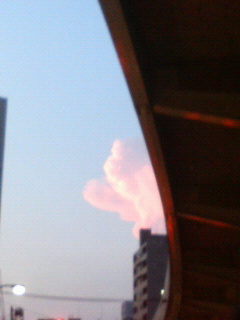 P1000212.jpg