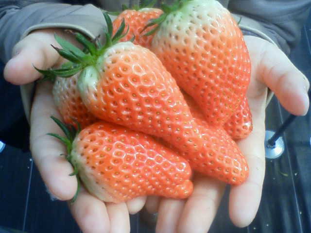 201003280947000.jpg