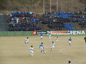DSC03382.jpg