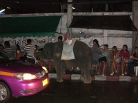 thai7