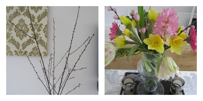 PicMonkey Collage.jpg