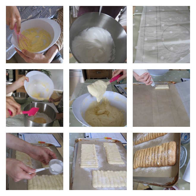 PicMonkey Collage.jpg