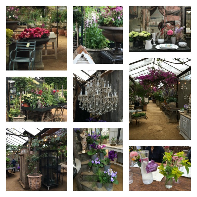 PicMonkey Collage.jpg
