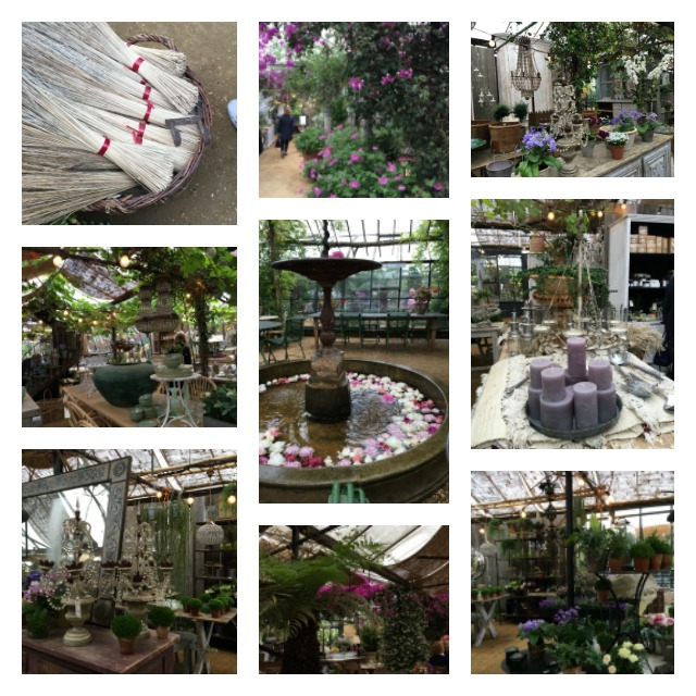 PicMonkey Collage.jpg