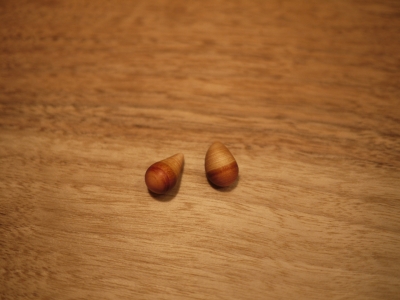 P1020515.JPG
