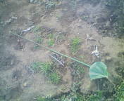 20100223163903.jpg