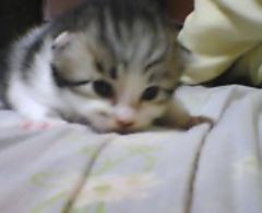 20070523_242483.jpg