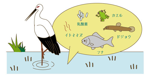 環境共生型の「コウノトリ育む農法」