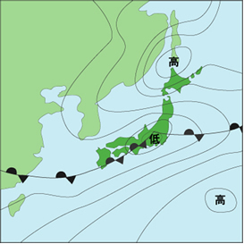 梅雨がもたらす楽しみ