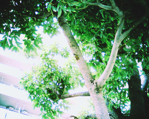 summer
