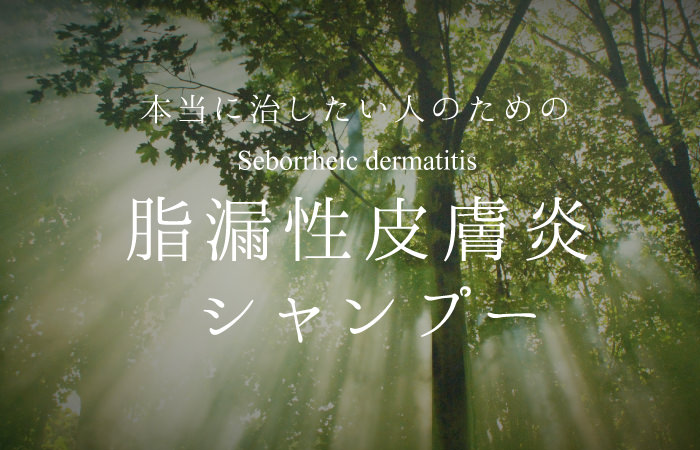 ËÜÅö¤Ë¸ú²Ì¤Î¤¢¤ë»éϳÀÈéÉæ±ê¥·¥ã¥ó¥×¡¼
