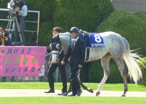 ゴールドシップ
