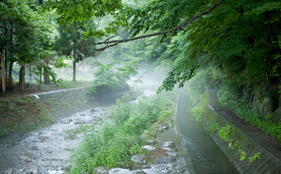 長野県,諏訪大社,下社