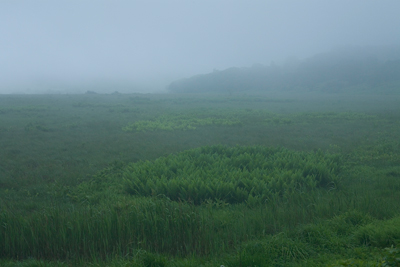 長野県,八島湿原