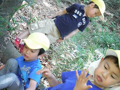 DSCF5348-s.JPG