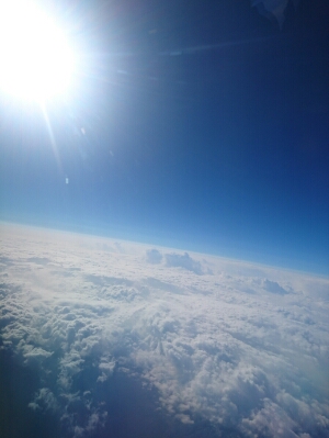 DSC_3518.jpg