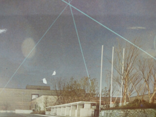 15312184052840.jpg