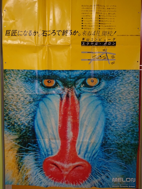 15506467991330.jpg