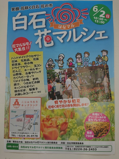 15590919858450.jpg