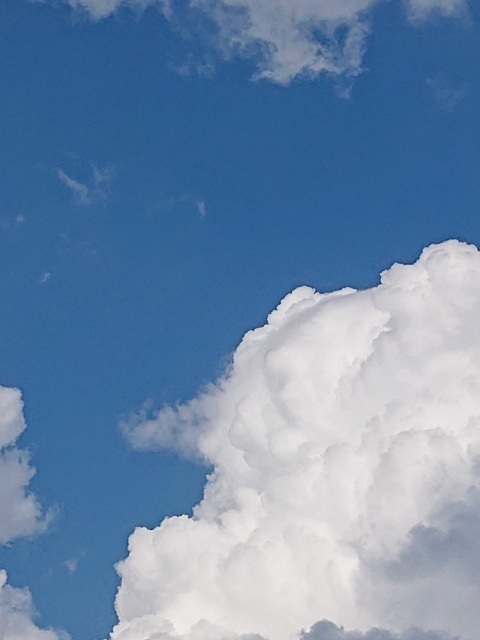 15667137154791.jpg