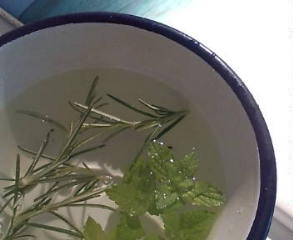 20100626092510.jpg