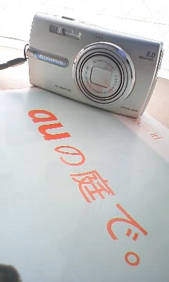 080301_1154~02.JPG