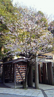 201004061609001.jpg