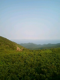 080618_1651~0001.jpg